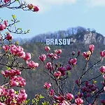 Liana 3* Brasov