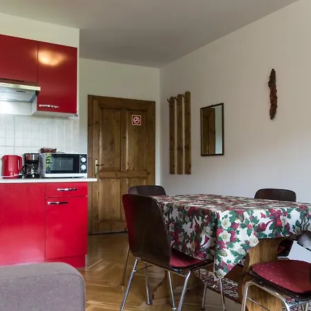 Liana Guest house Brasov