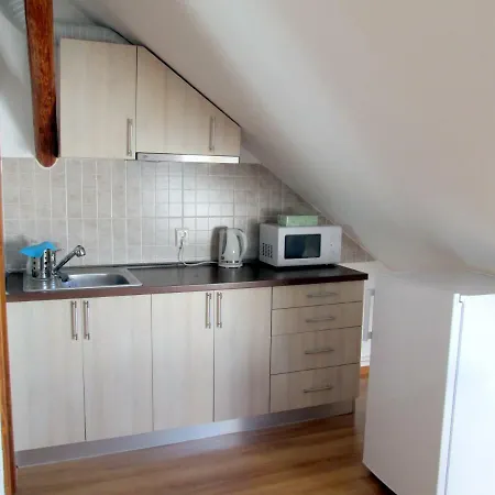 Guest house Liana Brasov