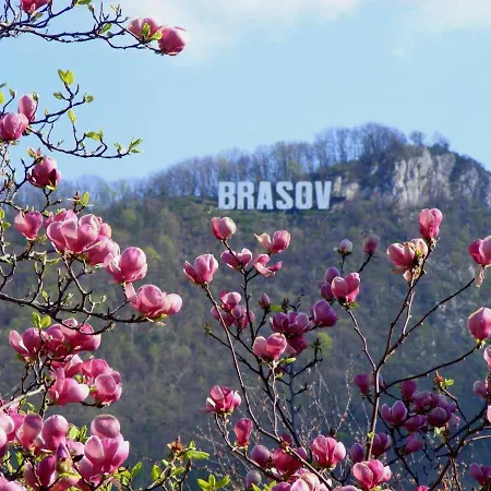 Liana 3* براشوف