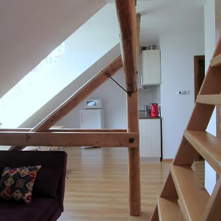 Guest house Liana Brasov