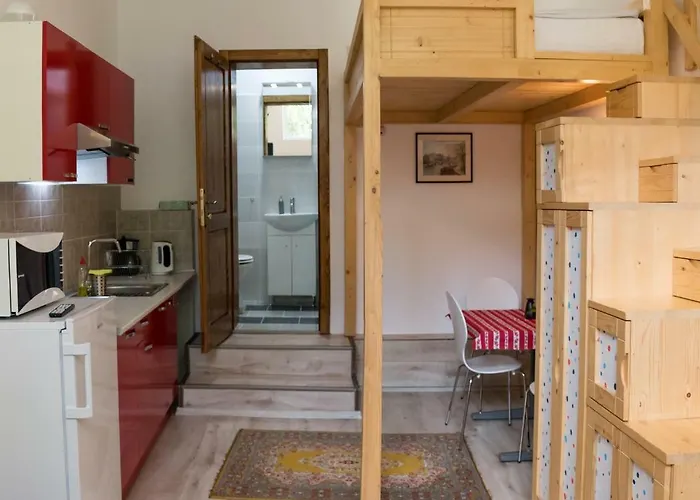 Liana Guest house Brasov