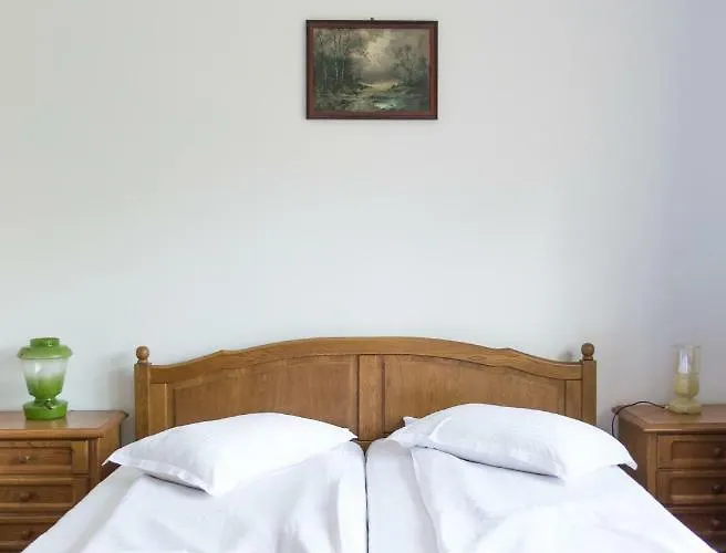 Guest house Liana Brasov