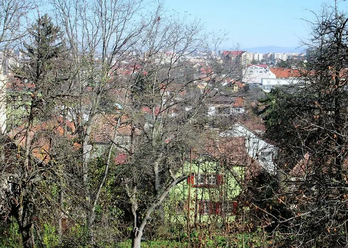 Guest house Liana Brasov