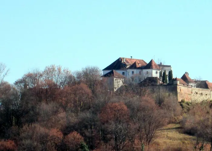 Liana Penzion Brašov