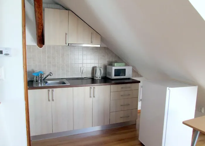 Guest house Liana Brasov