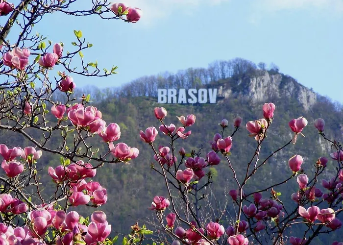 Liana 3* Brasov